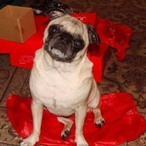 Meet your Posher, Rhonda